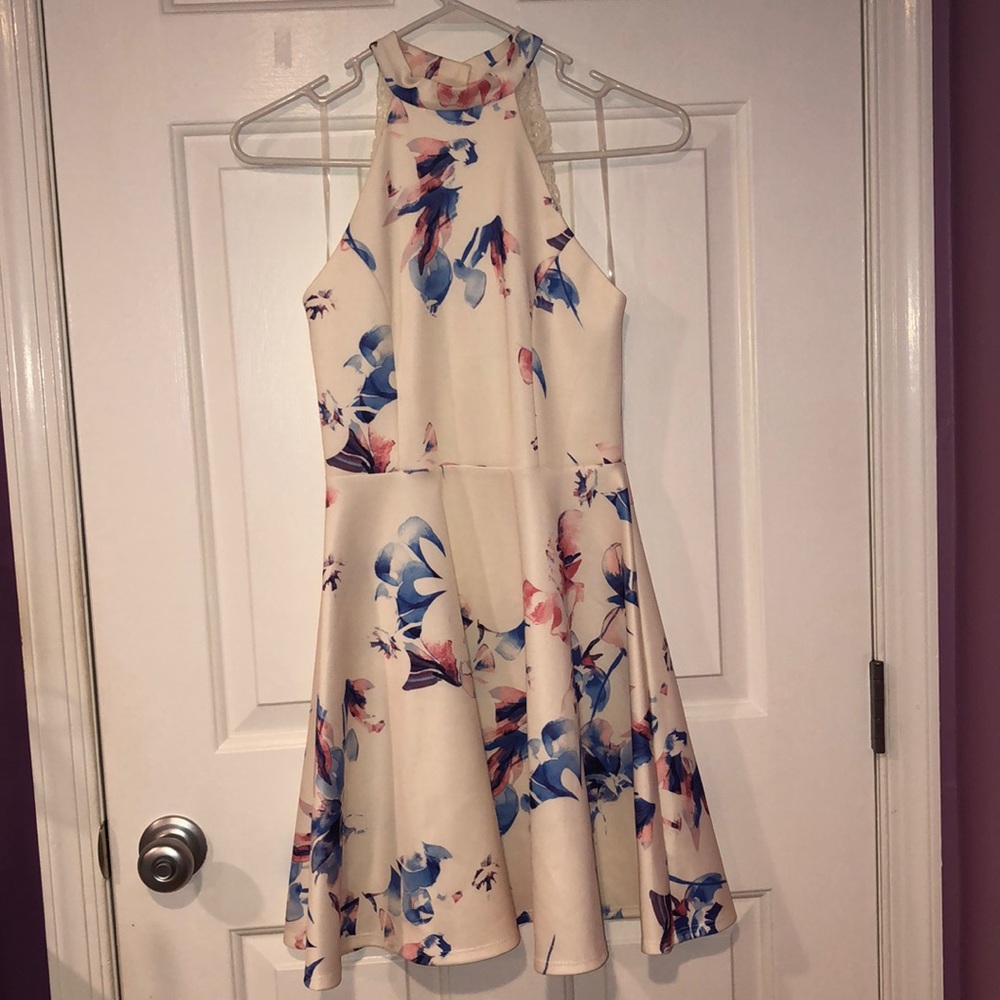 Flowery Blue Blush skater dress